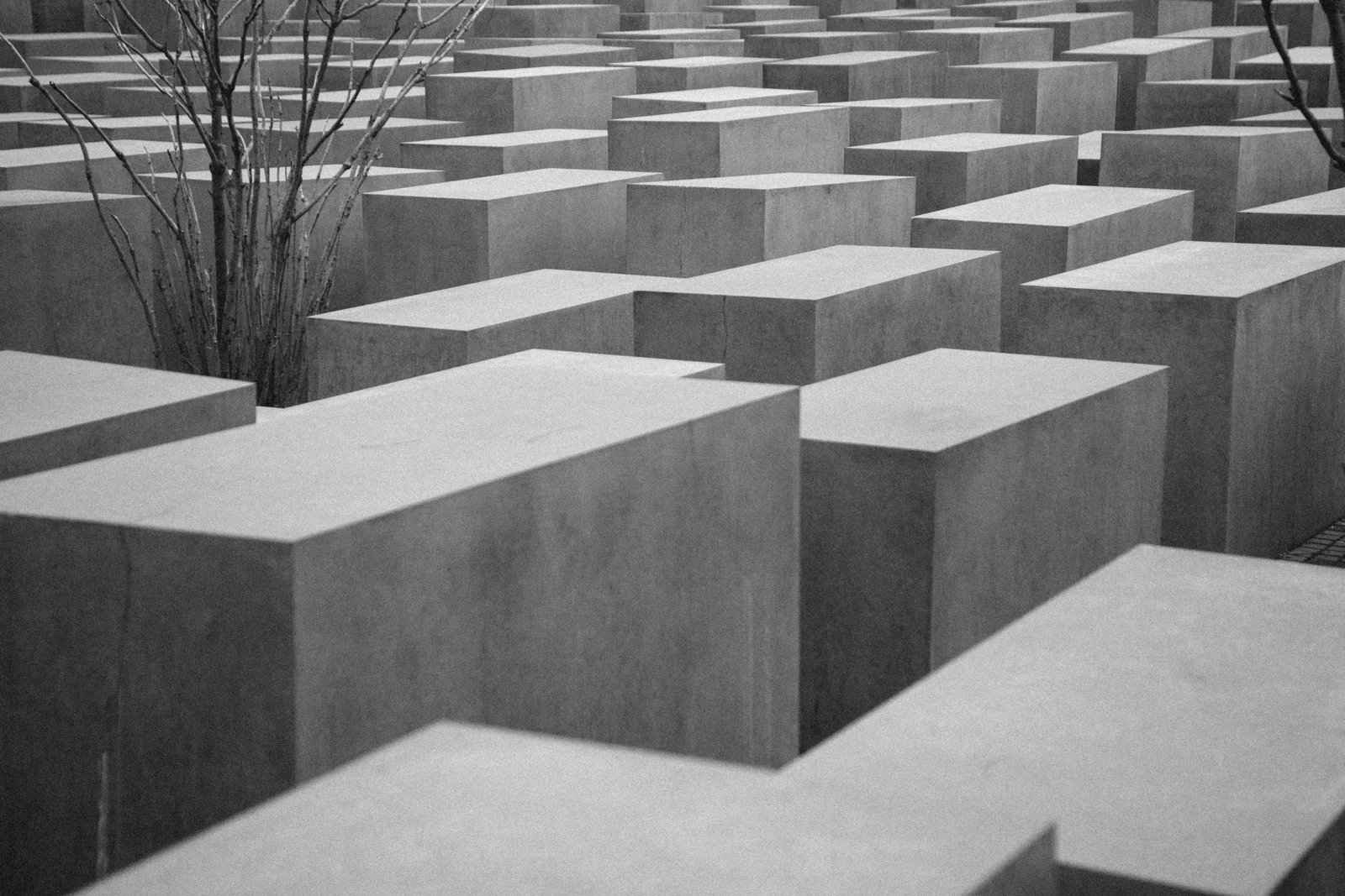 La mort, com més tard millor